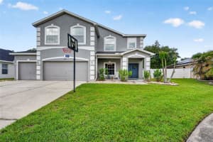 9018 RIVER ROAD, TAMPA, FL 33635 - MLS#MFRTB8521093