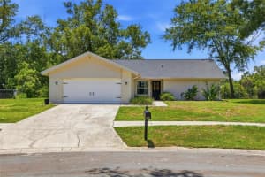 17508 Brandywine Dr, LUTZ 17508 Brandywine Dr, LUTZ