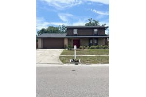 12417 Cardiff Dr, TAMPA