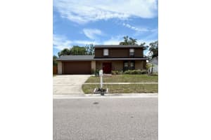 12417 CARDIFF DRIVE, TAMPA, FL 33625 - MLS#MFRTB8521236