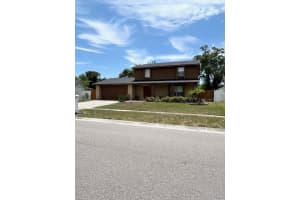12417 CARDIFF DRIVE, TAMPA, FL 33625 - MLS#MFRTB8521236