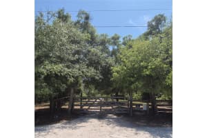 12858 HIALEAH AVENUE, NEW PORT RICHEY, FL 34654 - MLS#MFRTB8521321