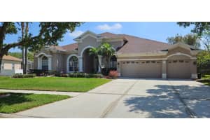 18107 Emerald Bay St, TAMPA 18107 Emerald Bay St, TAMPA