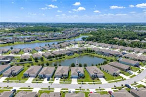 31785 TANSY BEND, WESLEY CHAPEL, FL 33545 - MLS#MFRTB8521399