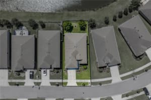 31785 TANSY BEND, WESLEY CHAPEL, FL 33545 - MLS#MFRTB8521399