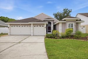 392 Tavernier Cir, OLDSMAR 392 Tavernier Cir, OLDSMAR