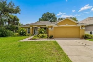 10035 REMINGTON DRIVE, RIVERVIEW, FL 33578 - MLS#MFRTB8521491