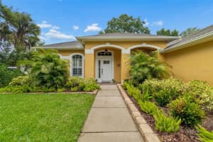 10035 REMINGTON DRIVE, RIVERVIEW, FL 33578 - MLS#MFRTB8521491