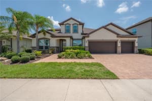 10404 Alcon Blue Dr, RIVERVIEW
