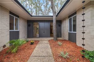 426 Fern Cliff Ave, TAMPA