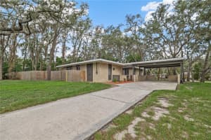 426 FERN CLIFF AVENUE, TAMPA, FL 33617 - MLS#MFRTB8521806
