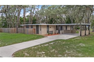 426 FERN CLIFF AVENUE, TAMPA, FL 33617 - MLS#MFRTB8521806