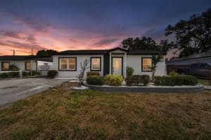 4711 W Lawn Ave, TAMPA
