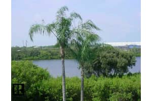 2700 Bayshore Blvd, Dunedin, FL 34698, Sold 03/17/08