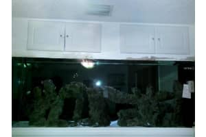 532 Baywood Dr N, Dunedin, FL 34698, Sold 02/28/17