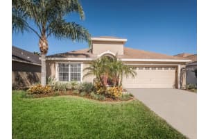 22702 Hawk Hill Loop, Land O' Lakes, FL 34639, Sold 05/24/16