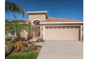 22702 Hawk Hill Loop, Land O' Lakes, FL 34639, Sold 05/24/16