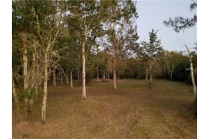 7834 BOYETTE RD, WESLEY CHAPEL, FL 33545 Sold 06/27/25
