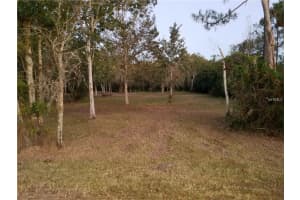 7834 BOYETTE RD, WESLEY CHAPEL, FL 33545 Sold 06/27/25