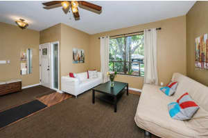 1993 Spanish Pines Dr, Dunedin, FL 34698, Sold 07/15/16