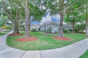 14926 Redcliff Dr, Tampa, FL 33625, Sold 08/20/16