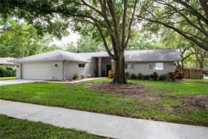 3150 Timberview Dr, Dunedin, FL 34698, Sold 07/18/16