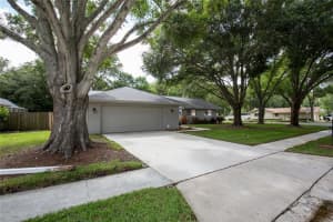3150 Timberview Dr, Dunedin, FL 34698, Sold 07/18/16