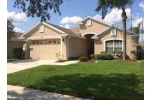 22911 Hawk Hill Loop, Land O' Lakes, FL 34639, Sold 01/17/17