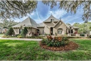8611 Pine Vista Ln, Odessa, FL 33556, Sold 03/17/17