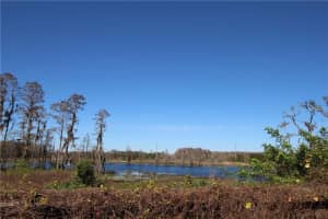 13739 Vanderbilt Rd, Odessa, FL 33556, Sold 05/18/17