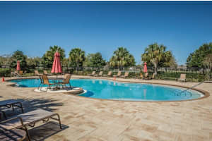 2157 Parrot Fish Dr, Holiday, FL 34691, Sold 05/18/17