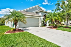 30337 Princess Bay Dr, Wesley Chapel, FL 33545, Sold 07/05/17