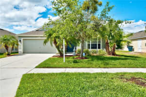 30337 Princess Bay Dr, Wesley Chapel, FL 33545, Sold 07/05/17