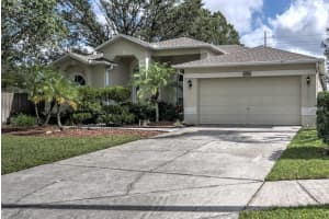 12924 Big Sur Dr, Tampa, FL 33625, Sold 02/28/18