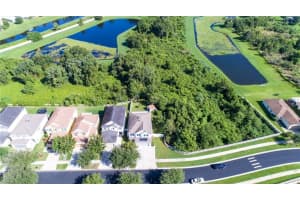 11136 Silver Fern Way, Riverview, FL 33569, Sold 10/25/17