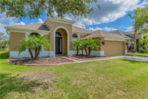 12837 Tar Flower Dr, Tampa, FL 33626, Sold 11/20/17