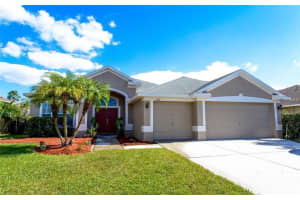 3146 Bowfin Dr, Land O' Lakes, FL 34639, Sold 05/29/18