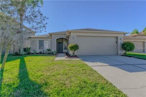 27502 Amelia Isle Ct, Wesley Chapel, FL 33544, Sold 01/12/18