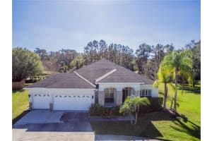 12564 Leatherleaf Dr, Tampa, FL 33626, Sold 05/08/18