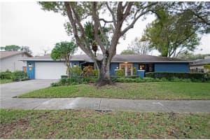 3134 Timberview Dr, Dunedin, FL 34698, Sold 04/16/18