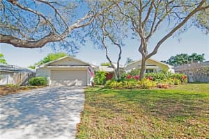 2035 Castille Dr, Dunedin, FL 34698, Sold 07/31/18