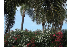 5541 La Puerta Del Sol Blvd S, St. Petersburg, FL 33715, Sold 12/20/19