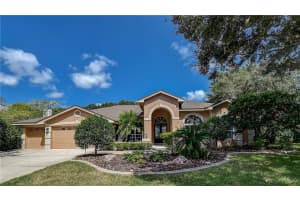 3913 Arlington Dr, Palm Harbor, FL 34685, Sold 03/12/21