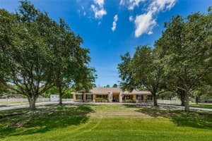 12710 Corral Rd, Tampa, FL 33626, Sold 10/25/21