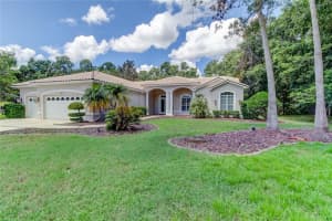 3874 Crescent Cove Pl, Tarpon Springs, FL 34688, Sold 02/15/22