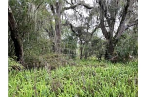 7419 BUCK HOPE ROAD, BROOKSVILLE, FL 34601 - MLS#MFRU8134423