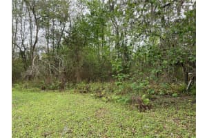 7419 BUCK HOPE ROAD, BROOKSVILLE, FL 34601 - MLS#MFRU8134423