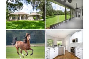12410 Trotter Ct, Tampa, FL 33626, Sold 10/29/21