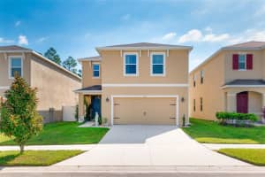 113 Lacewing Pl, Valrico, FL 33594, Sold 11/22/21