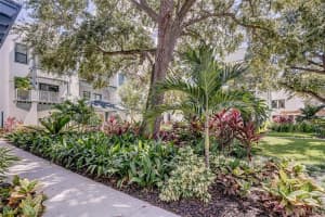 946 Highland Ave, Dunedin, FL 34698, Sold 11/12/21